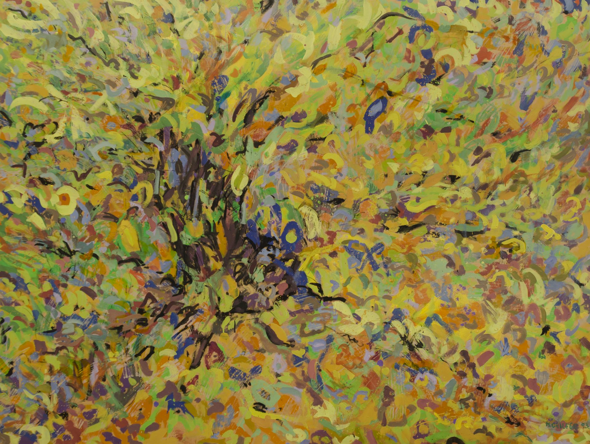 OTOÑO