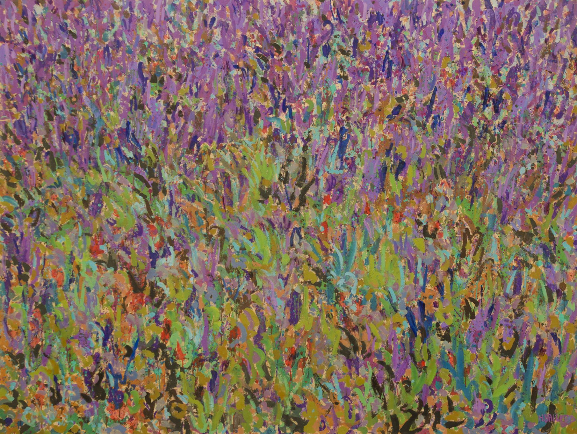 PRIMAVERA VIOLETA