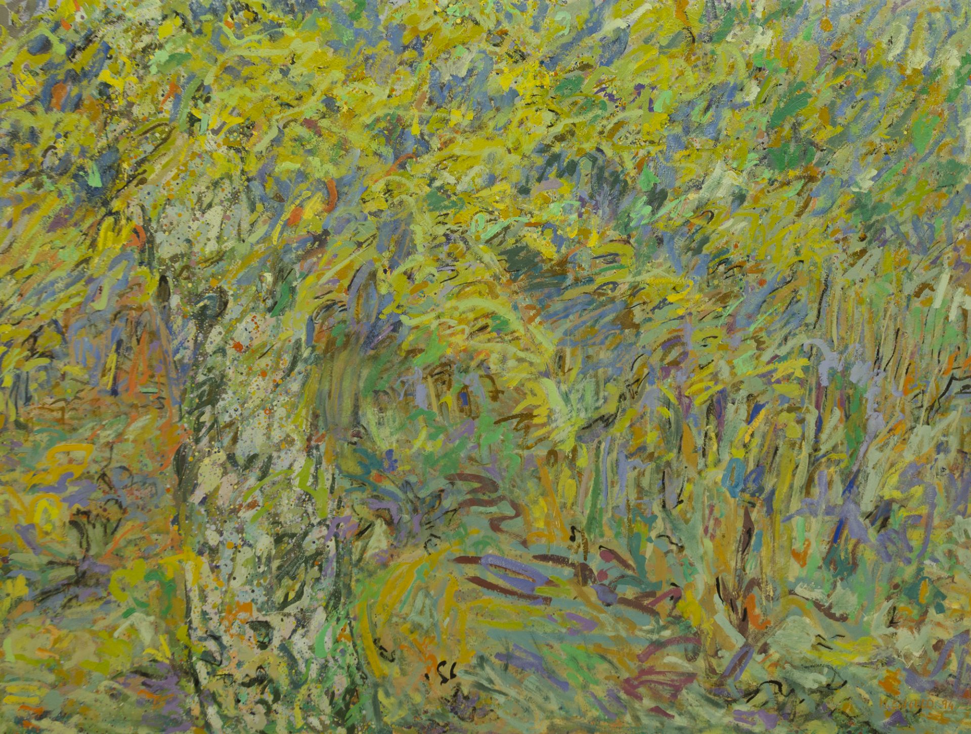 PRIMAVERA EN EL BOSQUE