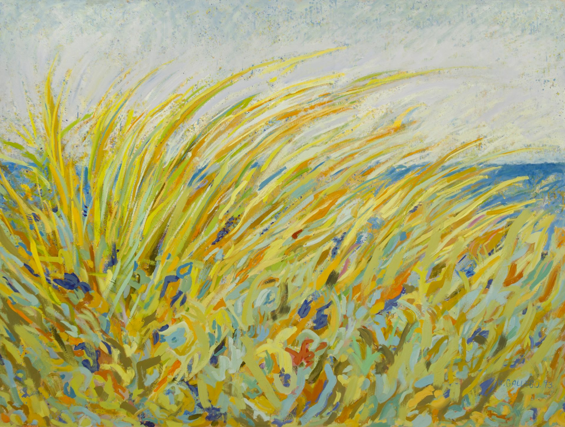 VEGETACIÓN JUNTO AL MAR