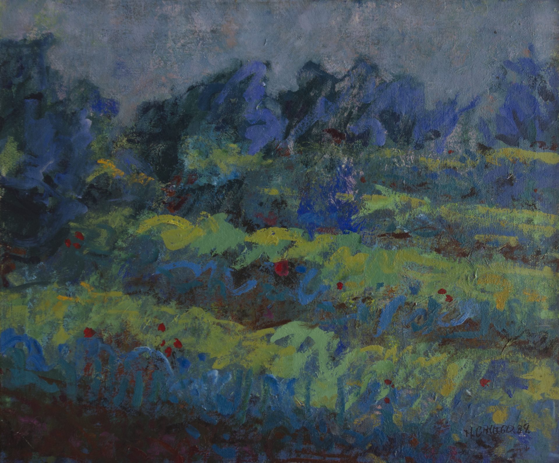OLIVOS Y TRIGO