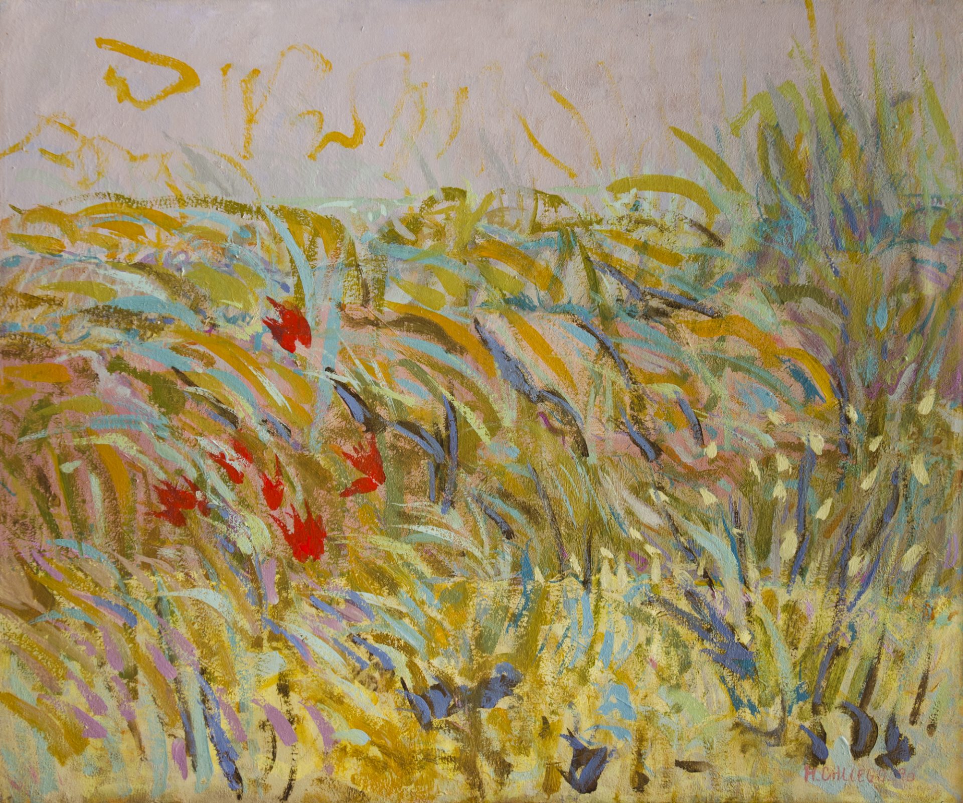 ESPIGAS Y AMAPOLAS