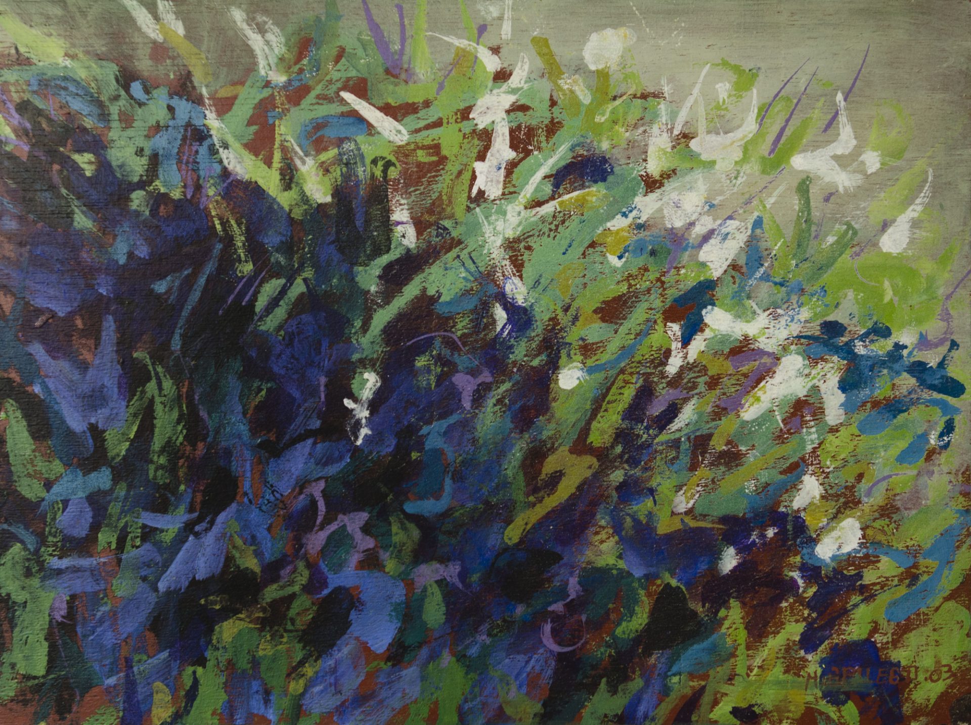 LOBELIA