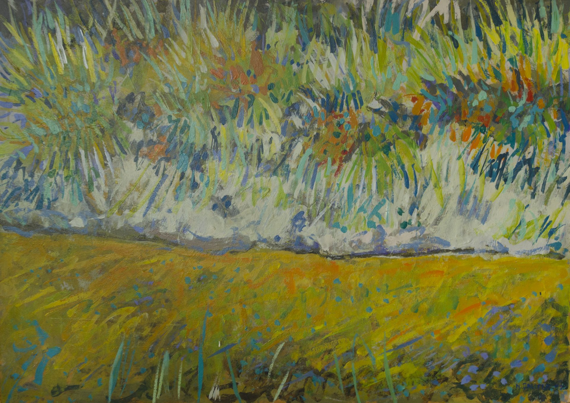 ACEQUIA