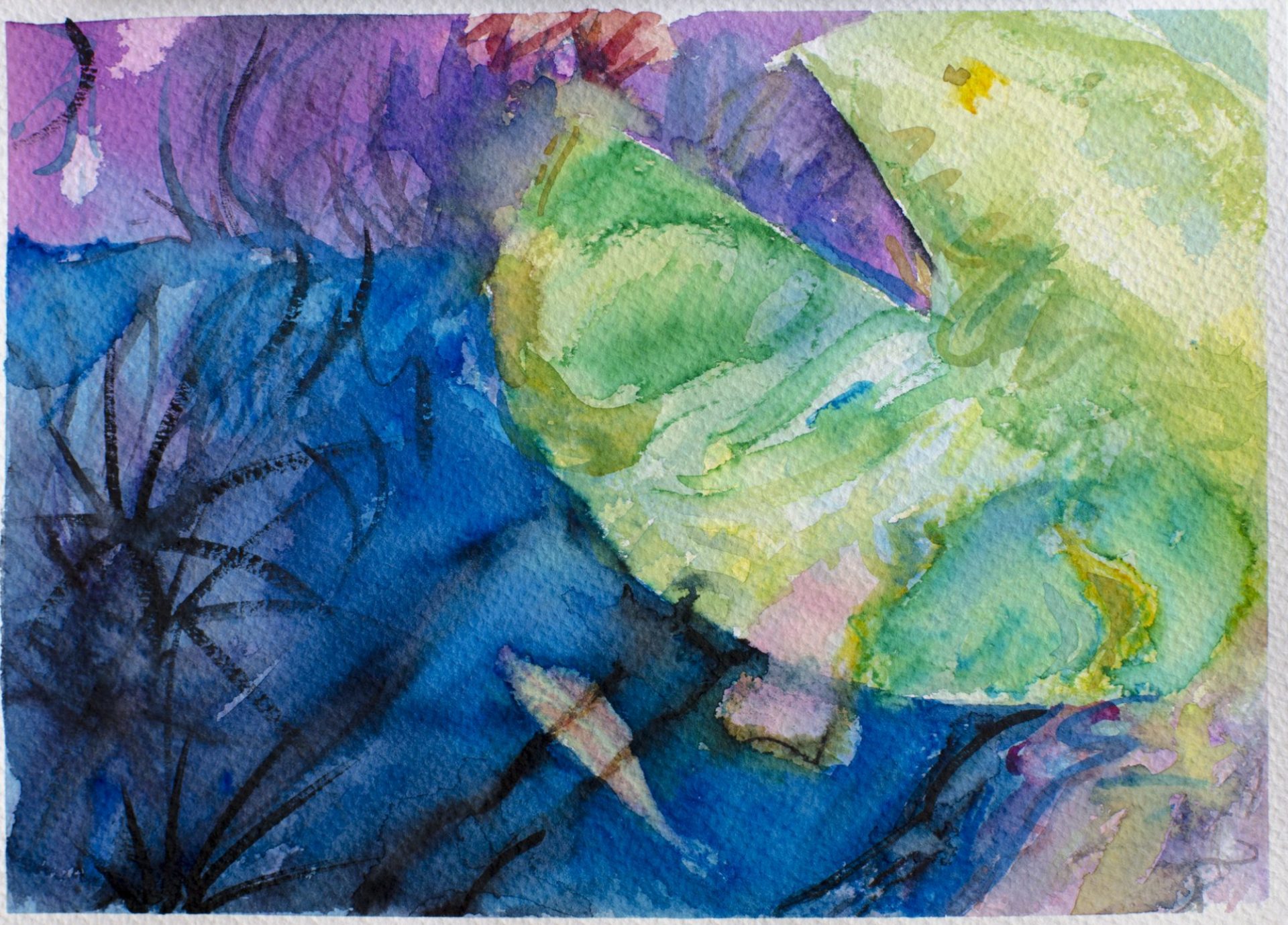 NENÚFAR Y PECES II