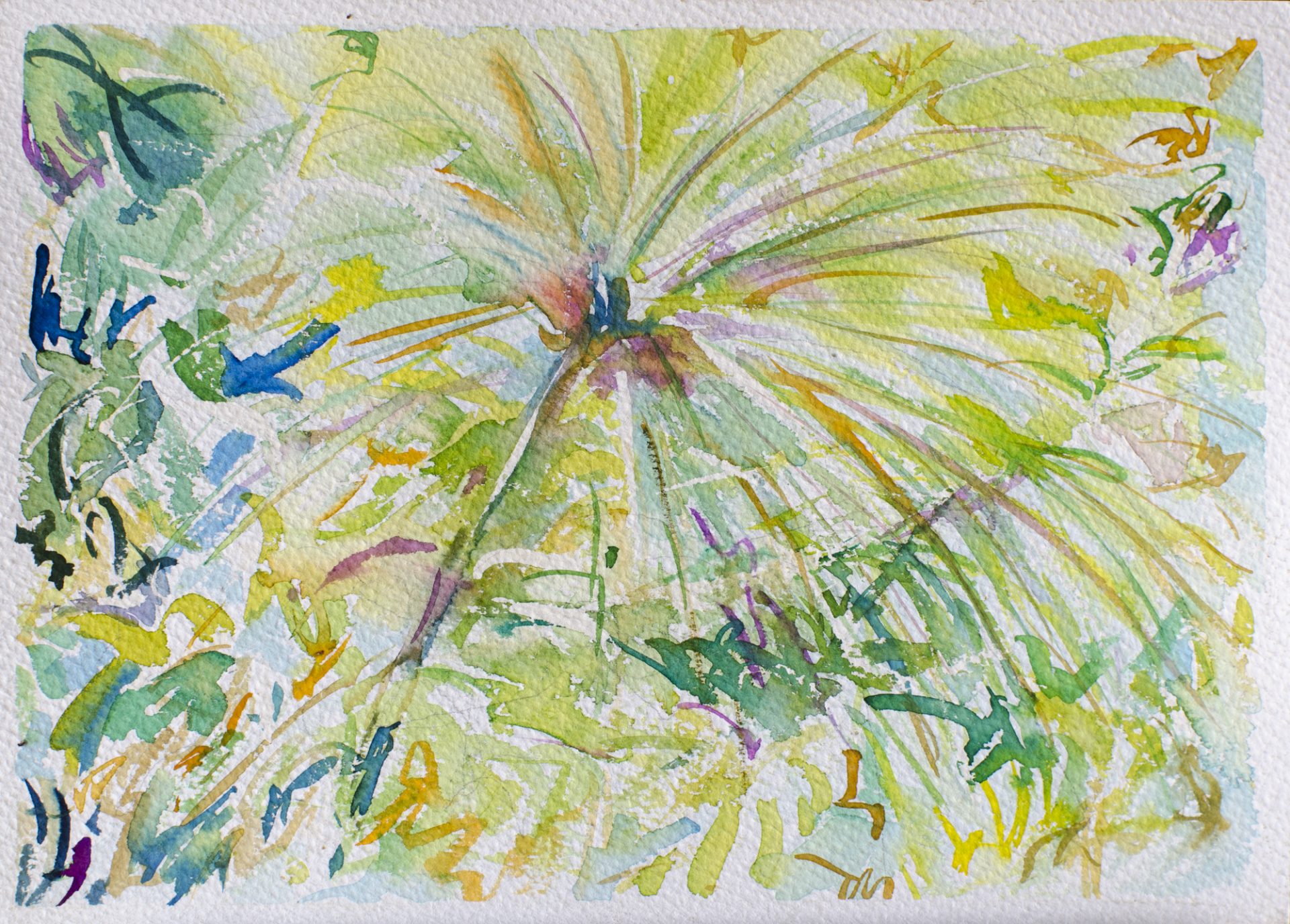 PAPIRO I