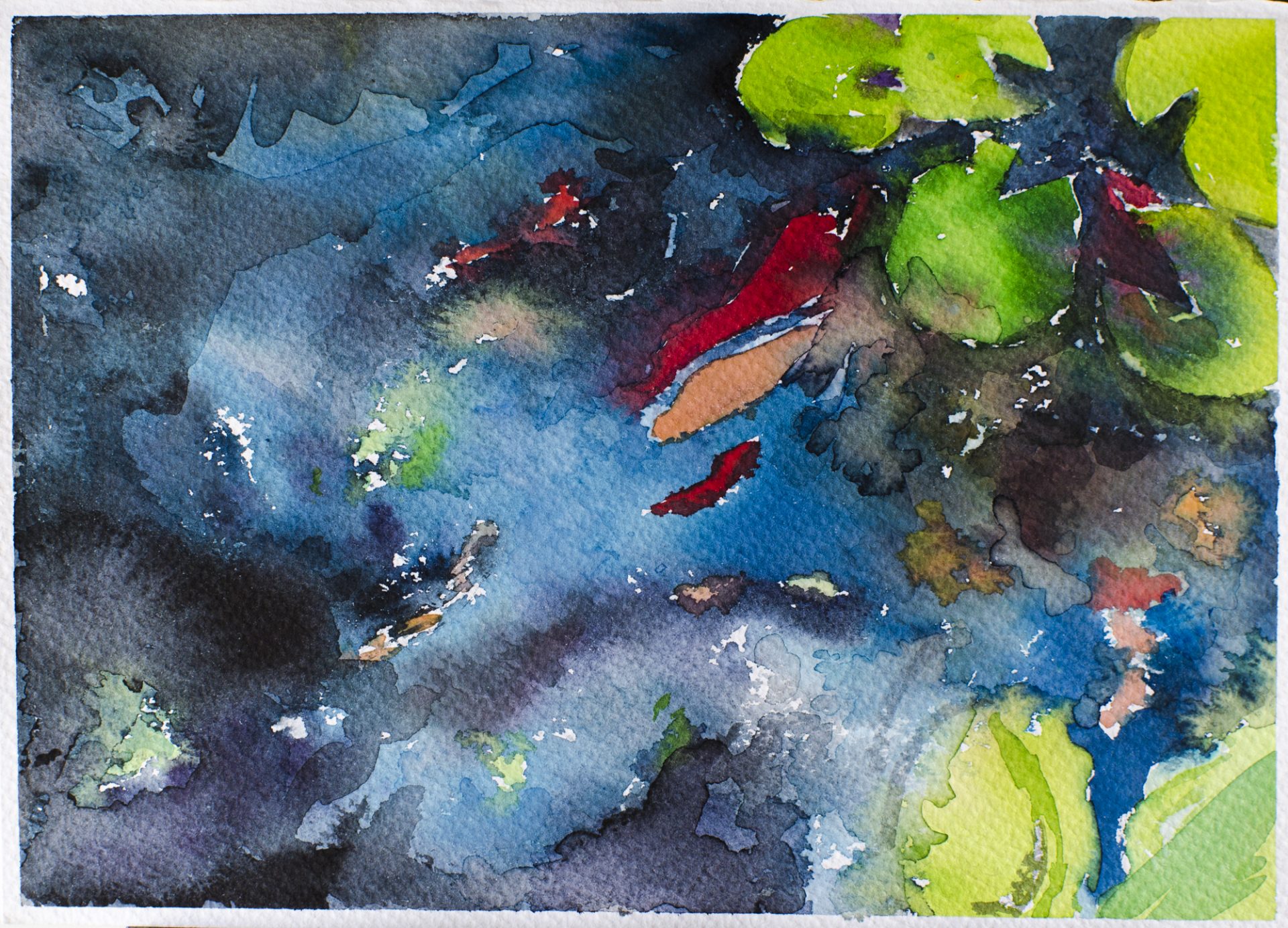 PECES EN EL ESTANQUE IV