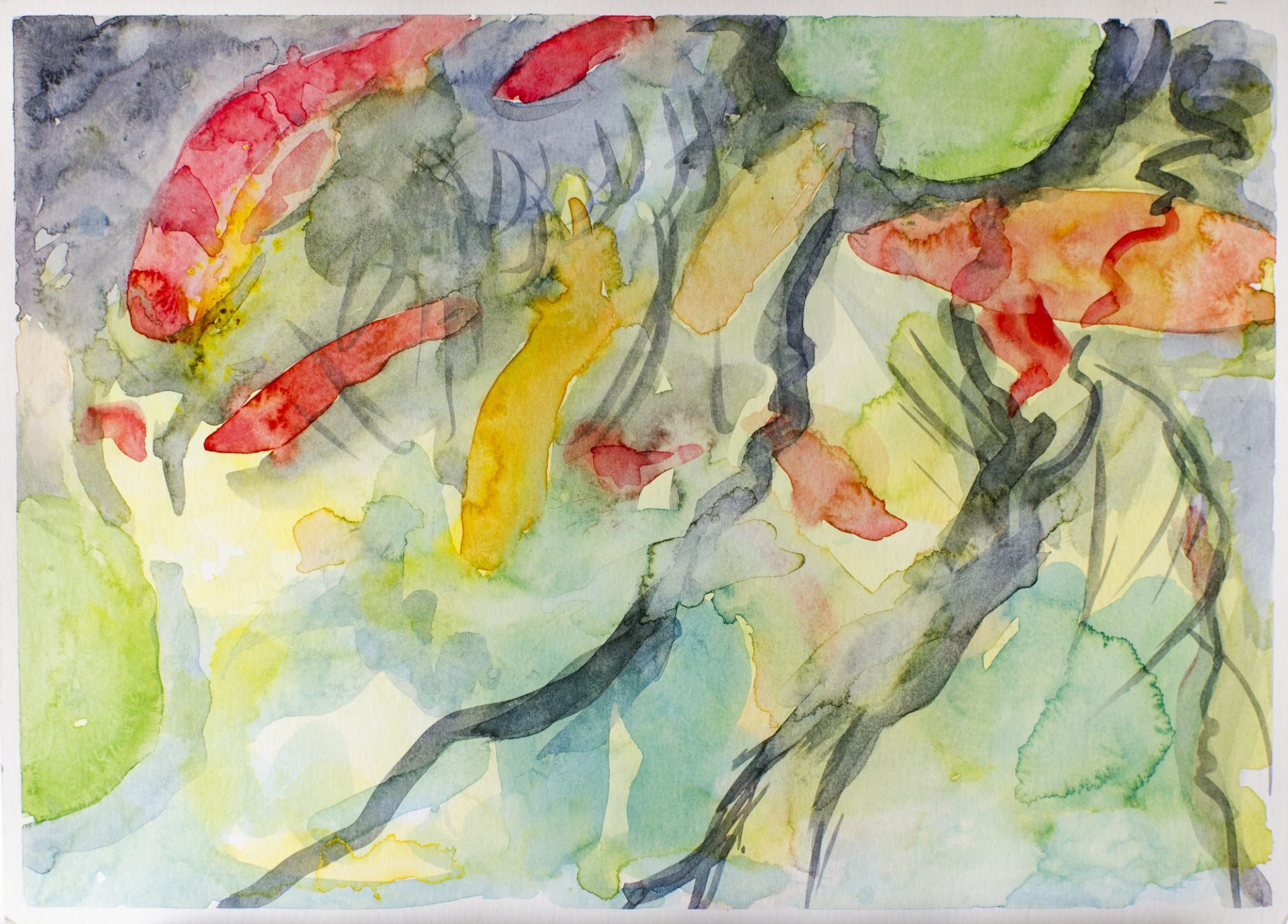 PECES, ESTANQUE III
