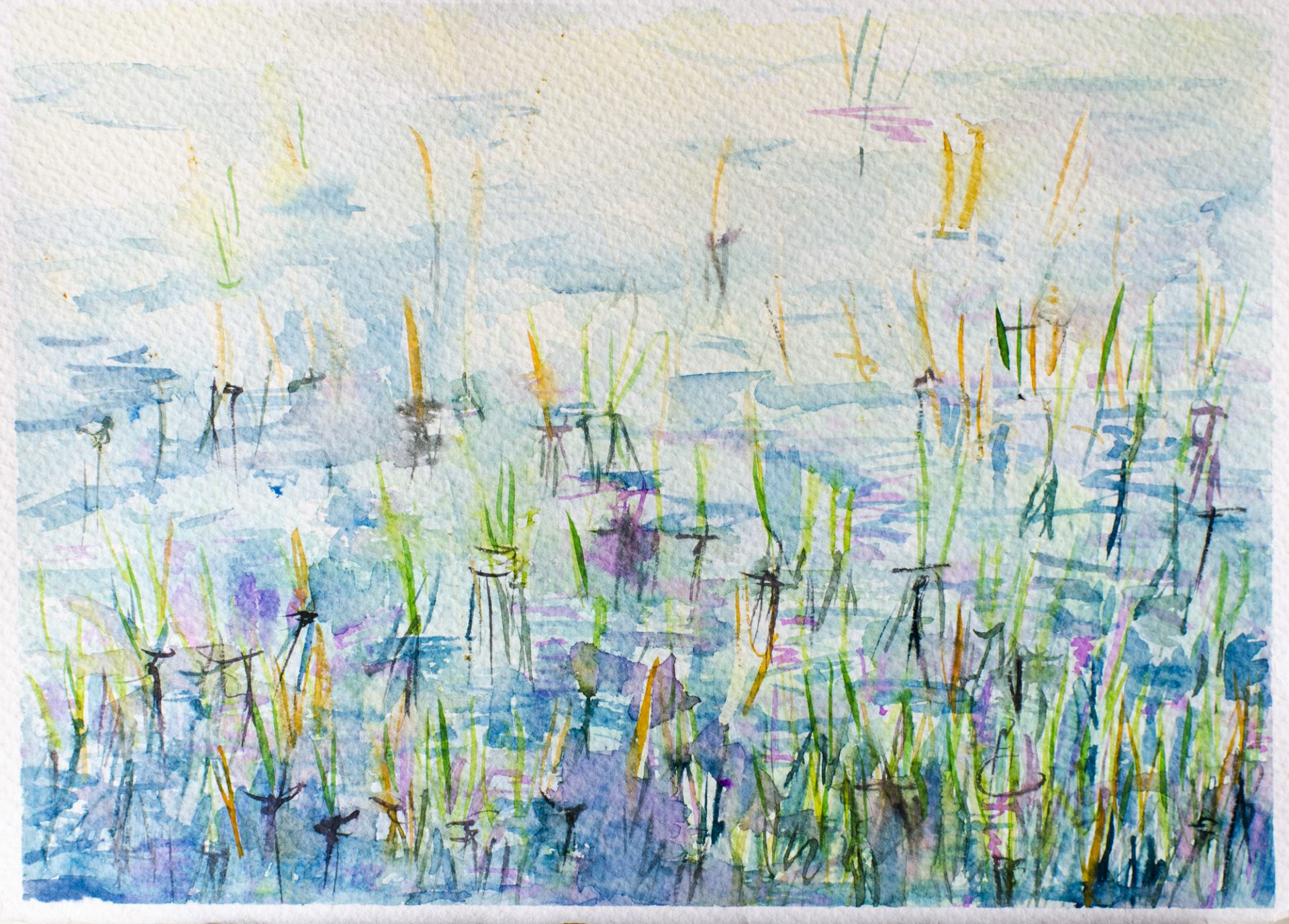 JUNCOS EN EL AGUA III