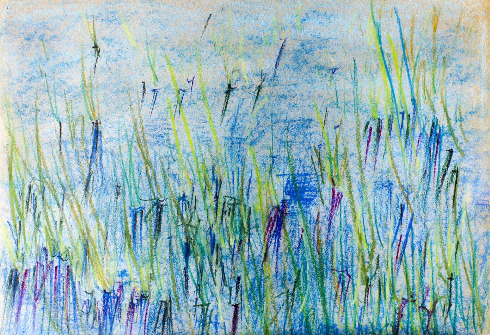 JUNCOS EN EL AGUA I
